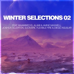 Winter Selections 02