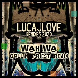 Wah Wa ( Collin Priest Remix )