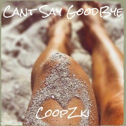 Cant Say GoodBye