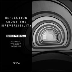 Reflection About The Irreversibility