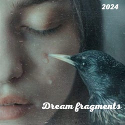 Dream fragments
