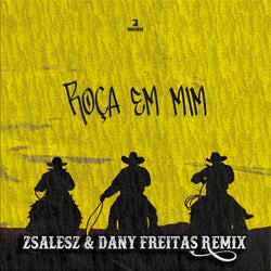 Roça Em Mim - ZSalesZ & Dany Freitas Remix