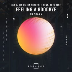 Feeling A Goodbye Remixes