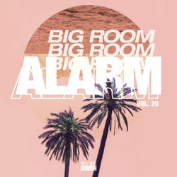 Big Room Alarm, Vol. 20