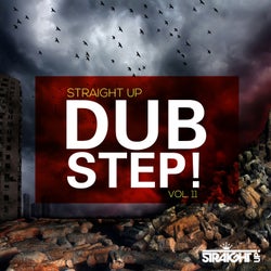 Straight Up Dubstep! Vol. 11