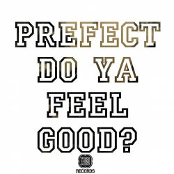 Do Ya Feel Good Remix EP