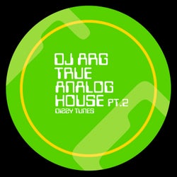 True Analog House, Pt. 2