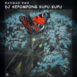 DJ Kepompong Kupu Kupu