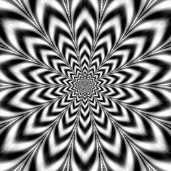 Geometric Illusions