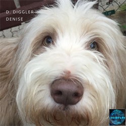 Denise