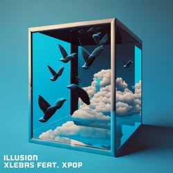 ILLUSION