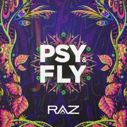 Psy & Fly