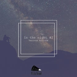 In The Night #2