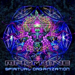 Spiritual Organization