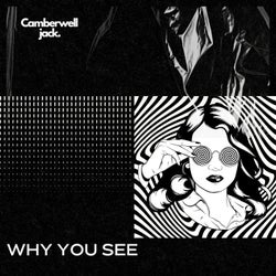 Why You See