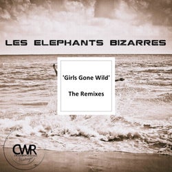 Girls Gone Wild: The Remixes
