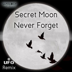 Never Forget (UFO Remix)