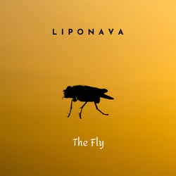 The Fly