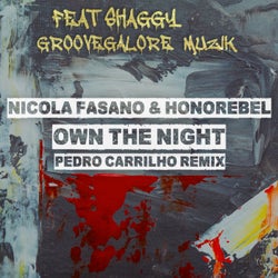 Own The Night (Pedro Carrilho Remix)
