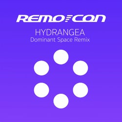 Hydrangea (Dominant Space Remix)