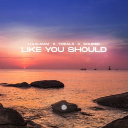 Like You Should (Extended Mix)