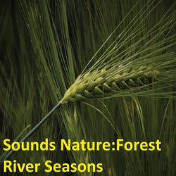 Sounds Nature: Forest River Seasons