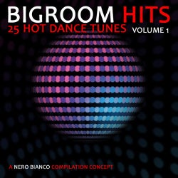 Bigroom Hits Volume 1