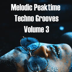 Melodic Peaktime Techno Grooves Volume3