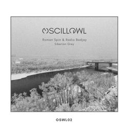 Cover art for Siberian Grey