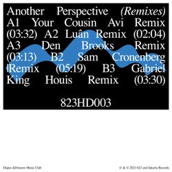 another perspective (Remixes)