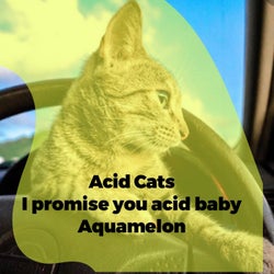 I Promise You Acid Baby