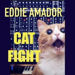 CAT FIGHT