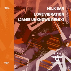 Love Vibration (Jamie Unknown Remix)