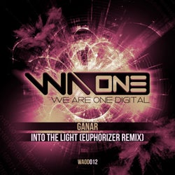 Into The Light (Euphorizer Remix)