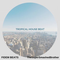 Tropical House Beat