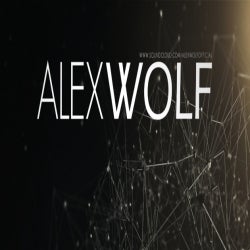 Alex Wolf's Best Of 2013 Charts