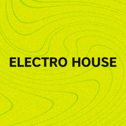 Must Hear Electro House: January