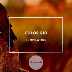 Color Rio