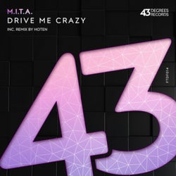 Drive Me Crazy