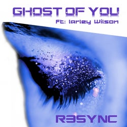 Ghost of You (feat. Larley Wilson)