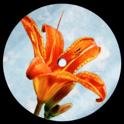 This Fire (Extended Mix)