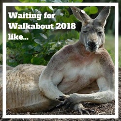 Walkabout countdown chart