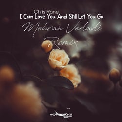 I Can Love You and Still Let You Go (Mehran Vedadi Remix)