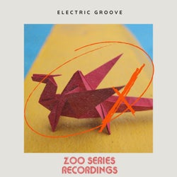 Electric Groove