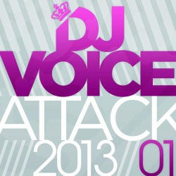 Dj Voice Attack 2013/01