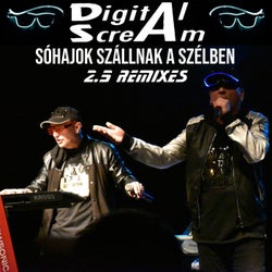 Sóhajok szállnak a szélben 2.5 Remixes