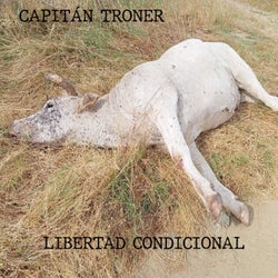 Libertad Condicional