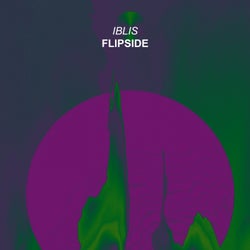 Flipside