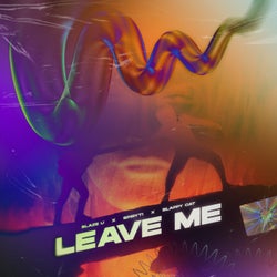 Leave Me (Extended Mix)