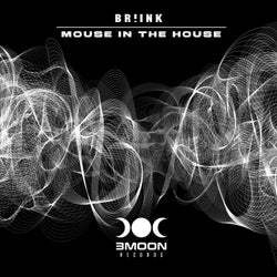 Mouse in the House